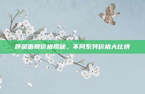 呼吸面膜价格揭秘，不同系列价格大比拼