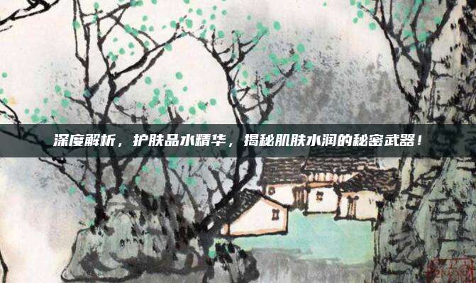 深度解析，护肤品水精华，揭秘肌肤水润的秘密武器！