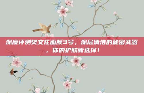 深度评测樊文花面膜3号，深层清洁的秘密武器，你的护肤新选择！