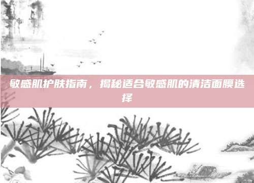 敏感肌护肤指南，揭秘适合敏感肌的清洁面膜选择
