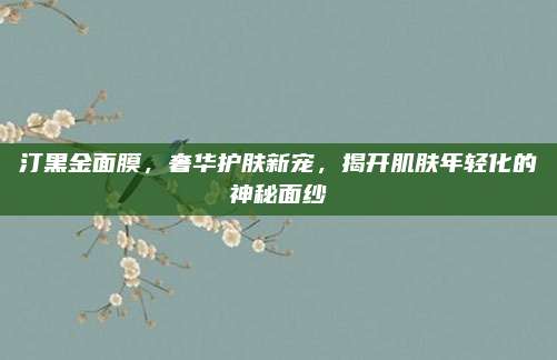汀黑金面膜，奢华护肤新宠，揭开肌肤年轻化的神秘面纱