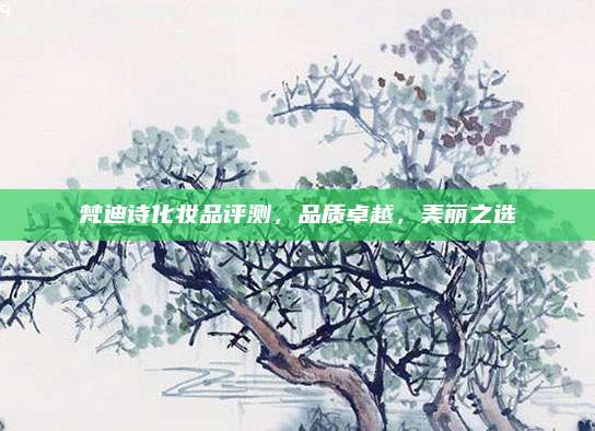 梵迪诗化妆品评测，品质卓越，美丽之选