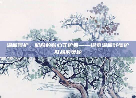 温和呵护,肌肤的贴心守护者——探索温和舒缓护肤品的奥秘