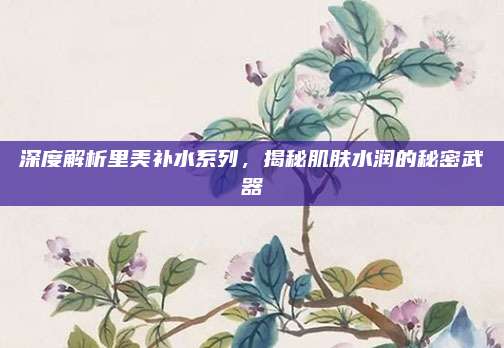 深度解析里美补水系列，揭秘肌肤水润的秘密武器