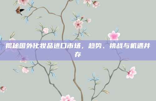 揭秘国外化妆品进口市场，趋势、挑战与机遇并存