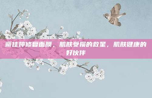 蒂佳婷修复面膜，肌肤受损的救星，肌肤健康的好伙伴
