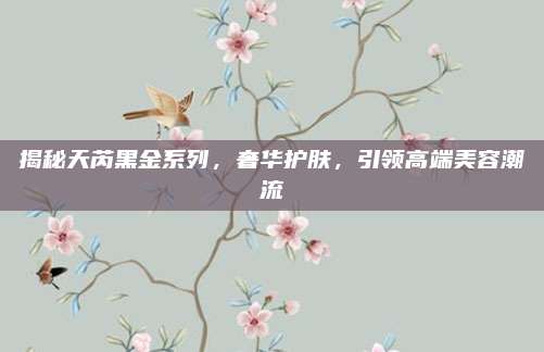 揭秘天芮黑金系列，奢华护肤，引领高端美容潮流