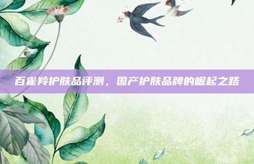 百雀羚护肤品评测,国产护肤品牌的崛起之路