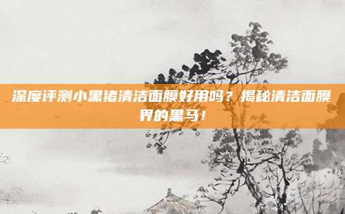 深度评测小黑猪清洁面膜好用吗？揭秘清洁面膜界的黑马！