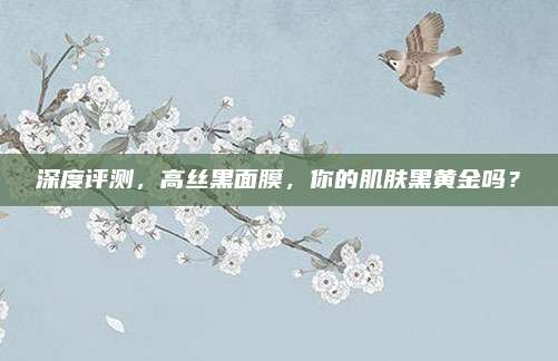 深度评测，高丝黑面膜，你的肌肤黑黄金吗？