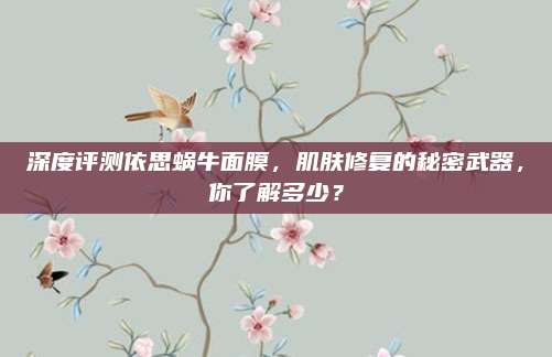 深度评测依思蜗牛面膜，肌肤修复的秘密武器，你了解多少？