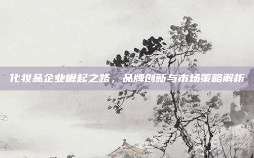 化妆品企业崛起之路，品牌创新与市场策略解析