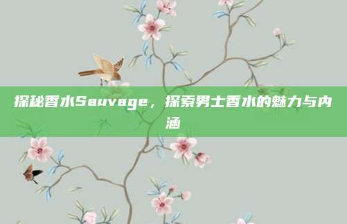 探秘香水Sauvage，探索男士香水的魅力与内涵