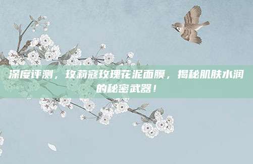 深度评测，玫莉寇玫瑰花泥面膜，揭秘肌肤水润的秘密武器！