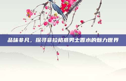 品味非凡，探寻菲拉格慕男士香水的魅力世界