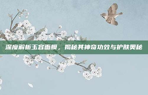 深度解析玉容面膜，揭秘其神奇功效与护肤奥秘
