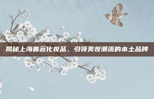 揭秘上海善茗化妆品，引领美妆潮流的本土品牌