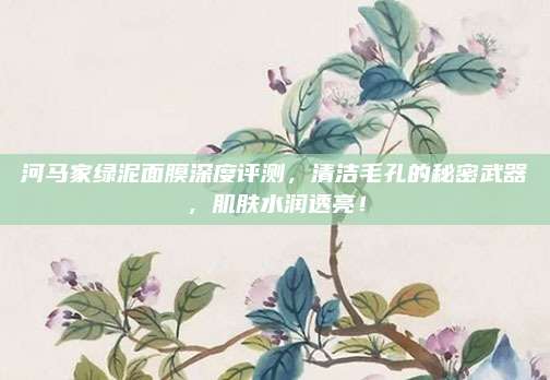 河马家绿泥面膜深度评测，清洁毛孔的秘密武器，肌肤水润透亮！