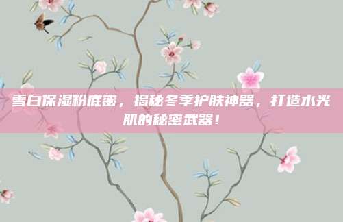 雪白保湿粉底密,揭秘冬季护肤神器,打造水光肌的秘密武器!