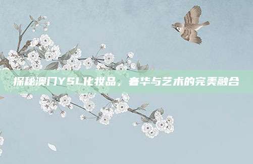 探秘澳门YSL化妆品，奢华与艺术的完美融合