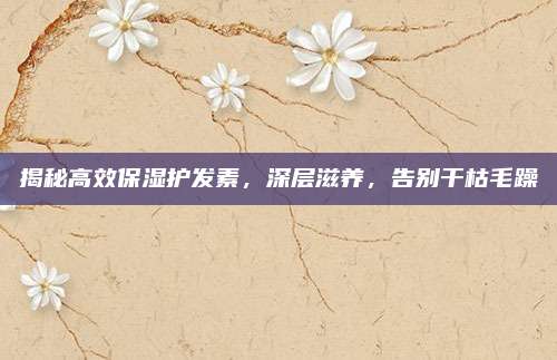 揭秘高效保湿护发素，深层滋养，告别干枯毛躁