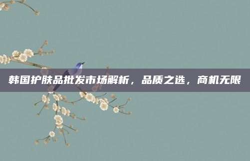韩国护肤品批发市场解析，品质之选，商机无限