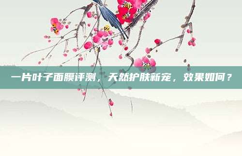 一片叶子面膜评测，天然护肤新宠，效果如何？