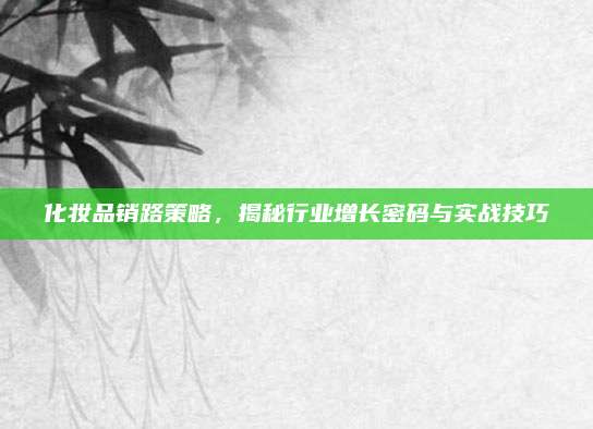 化妆品销路策略,揭秘行业增长密码与实战技巧