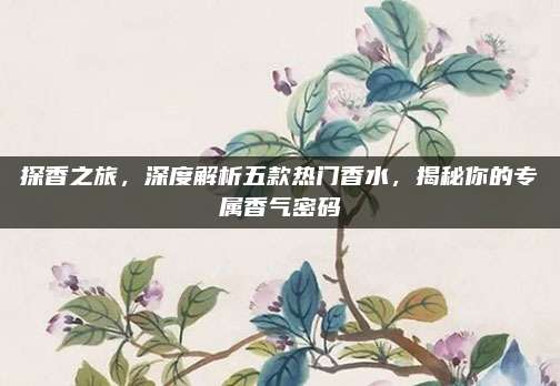 探香之旅，深度解析五款热门香水，揭秘你的专属香气密码