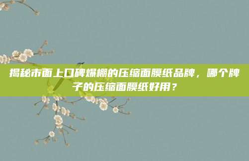 揭秘市面上口碑爆棚的压缩面膜纸品牌，哪个牌子的压缩面膜纸好用？