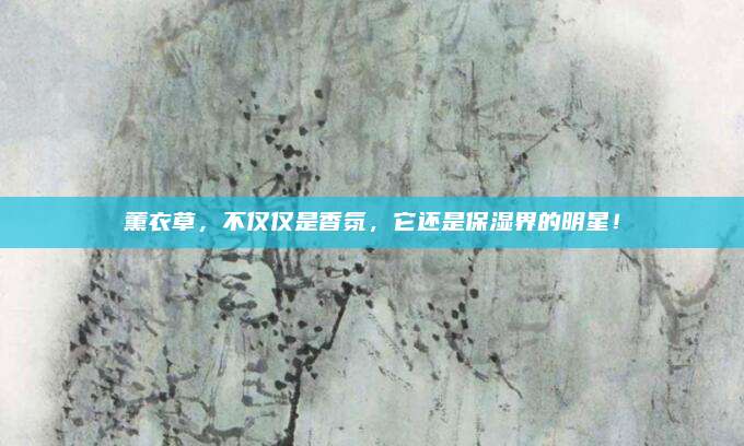 薰衣草,不仅仅是香氛,它还是保湿界的明星!