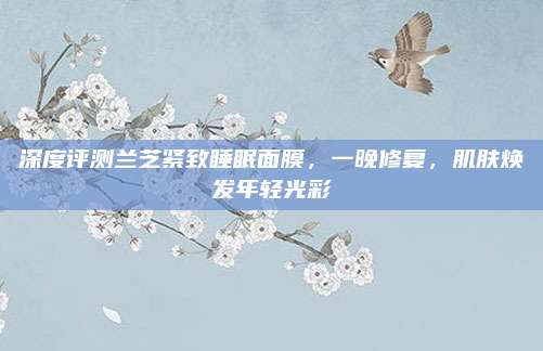 深度评测兰芝紧致睡眠面膜，一晚修复，肌肤焕发年轻光彩