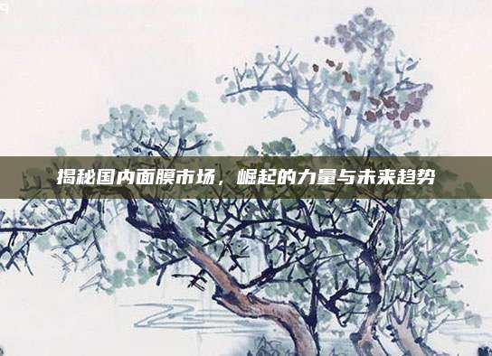 揭秘国内面膜市场，崛起的力量与未来趋势