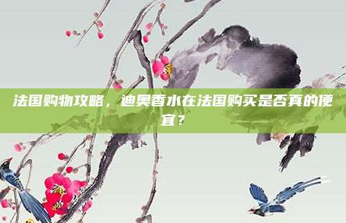 法国购物攻略，迪奥香水在法国购买是否真的便宜？