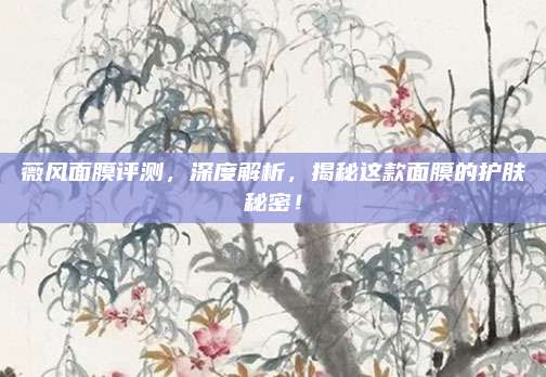 薇风面膜评测，深度解析，揭秘这款面膜的护肤秘密！