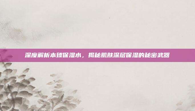 深度解析本臻保湿水，揭秘肌肤深层保湿的秘密武器