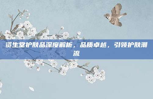 资生堂护肤品深度解析，品质卓越，引领护肤潮流