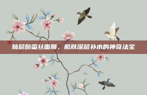 玻尿酸蚕丝面膜，肌肤深层补水的神奇法宝