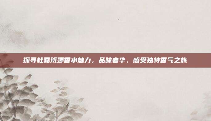 探寻杜嘉班娜香水魅力，品味奢华，感受独特香气之旅
