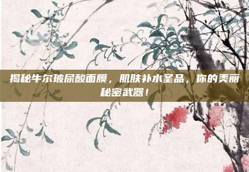 揭秘牛尔玻尿酸面膜，肌肤补水圣品，你的美丽秘密武器！