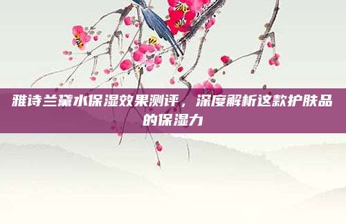 雅诗兰黛水保湿效果测评，深度解析这款护肤品的保湿力