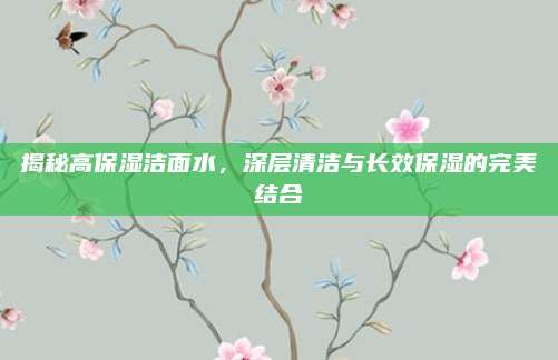 揭秘高保湿洁面水，深层清洁与长效保湿的完美结合
