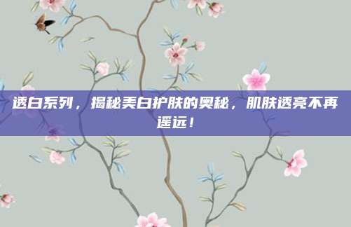 透白系列，揭秘美白护肤的奥秘，肌肤透亮不再遥远！