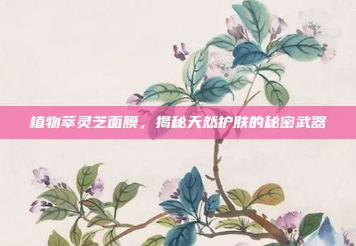 植物萃灵芝面膜，揭秘天然护肤的秘密武器