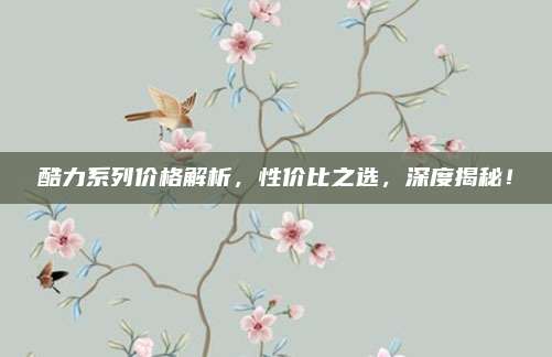 酷力系列价格解析,性价比之选,深度揭秘!