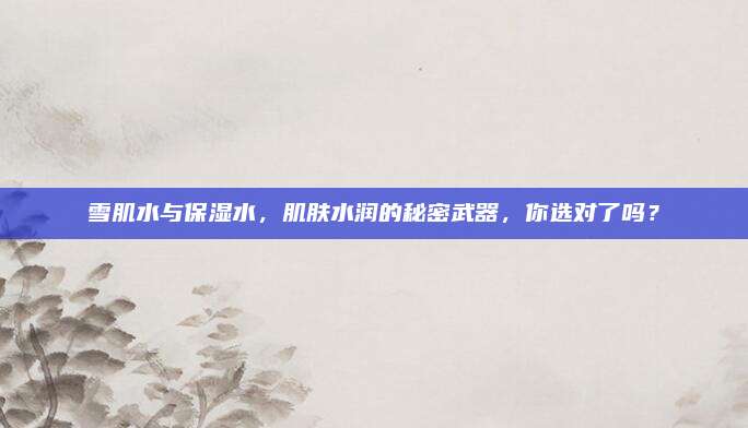 雪肌水与保湿水,肌肤水润的秘密武器,你选对了吗?