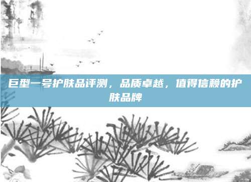 巨型一号护肤品评测,品质卓越,值得信赖的护肤品牌