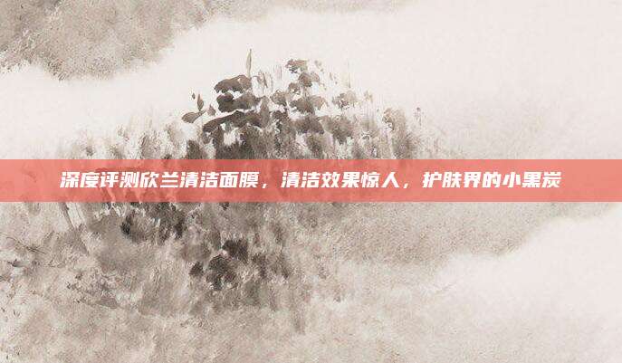 深度评测欣兰清洁面膜,清洁效果惊人,护肤界的小黑炭