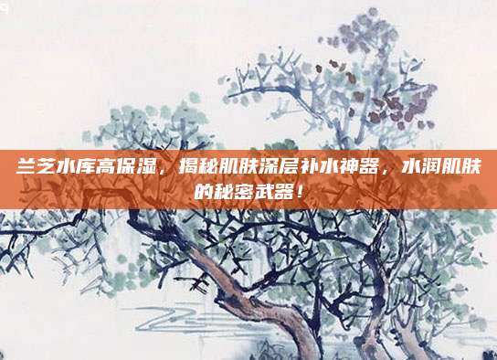 兰芝水库高保湿,揭秘肌肤深层补水神器,水润肌肤的秘密武器!