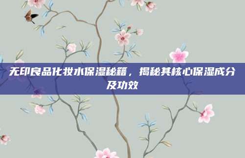 无印良品化妆水保湿秘籍，揭秘其核心保湿成分及功效